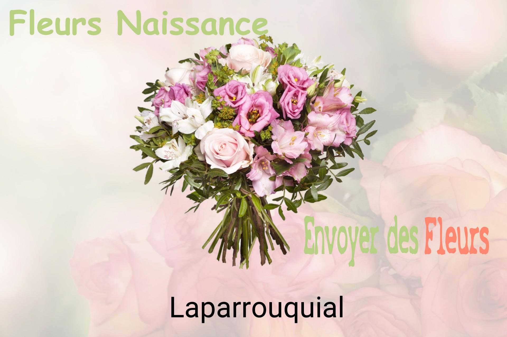 Bouquet de fleurs de naissance livré à Laparrouquial